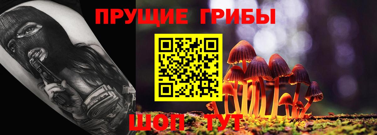 Алапаевск  Псилоцибиновые грибы ЛСД  Вход с VPN 