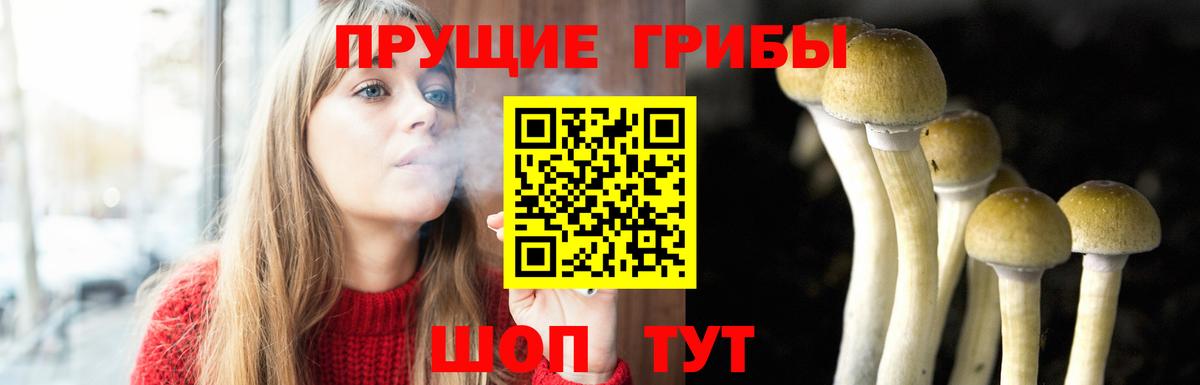 Псилоцибиновые грибы мухоморы Алапаевск